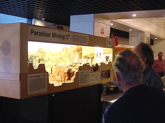 Paradise Mining Co.